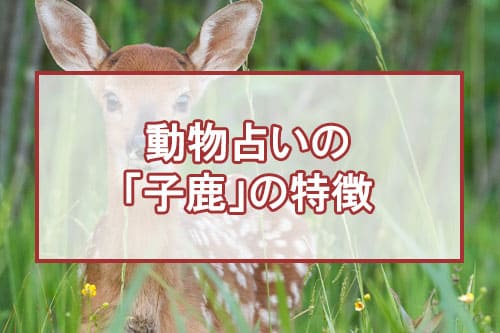動物占いの「子鹿」の特徴